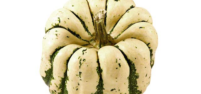 Muffins de courge Patidou