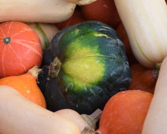 Nos (belles) courges